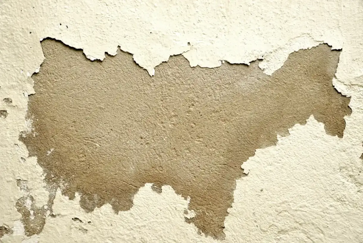 Wall surface bubbling and peeling where water has been absorbed into the board